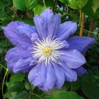 Beauty of Worcester Beauty of Worcester